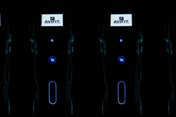 avifit