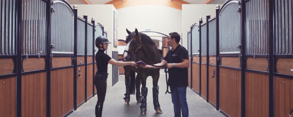 Lumaro Horsetravel video