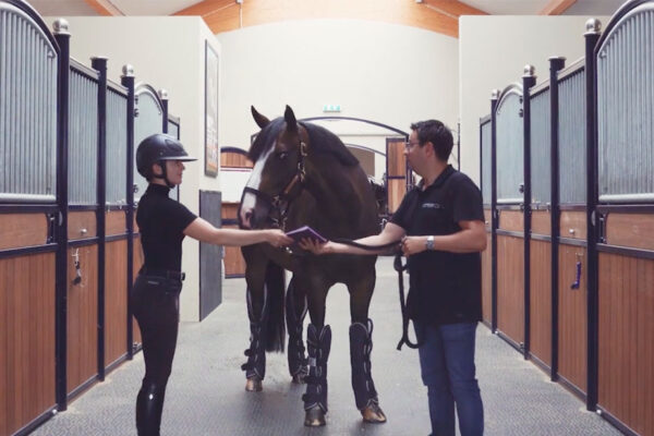 Lumaro Horsetravel video
